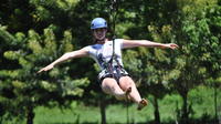 Zipline, Monkey and Parrot Interaction plus Beach Resort Combo Tour in Roatan