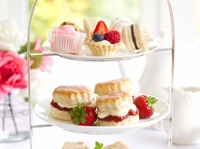Croisière sur le fleuve Brisbane with goûter dînatoire