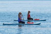 Dolphin and Manatee Stand Up Paddleboard Tour