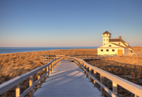 En automne à Cape Cod: excursion d'Une journée au départ de Boston with croisière touristique