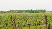 Full-Day Niagara Wine Tour with Lunch in Niagara-on-the-Lake and Optional Boat Ride 