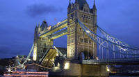 Private Tour: Guided and Chauffered Tour of London