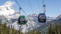 Sunshine Village Sightseeing Gondola and Scenic Chairlift Package