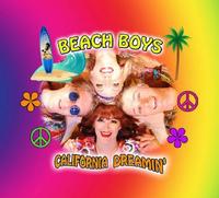 Beach Boys California Dreaming