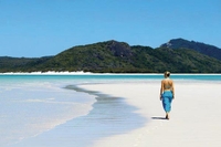 Croisières d'une demi-journée à Whitehaven Beach image 1 Croisières d'une demi-journée à Whitehaven Beach image 1