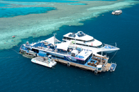 Expérience de 2 jours sur la Grande barrière de corail