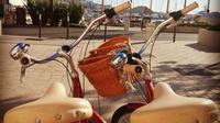 Cannes Bike Rental