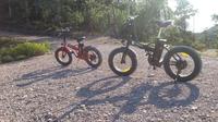 Full-Day Electric Bike Rental in Cannes