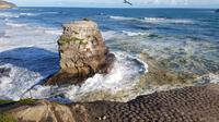 Day Trip to Auckland's Wild and Beautiful Beaches