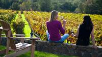 Full-Day Private Guided Tours of Napa Valley and Sonoma Wine Country