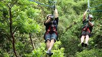 Canopy Tour