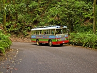 Circuit en bus zion à Ocho Rios