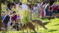 Nashville Zoo Admission Pass