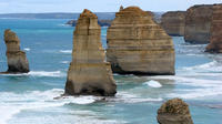 Melbourne Combo: Great Ocean Road and Phillip Island Penguin Parade Day Trip