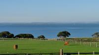 Penguin Parade with Moonlit Sanctuary and Churchill Island From Melbourne