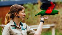 Puffing Billy Train Day Trip with Healesville Sanctuary Meet and Greet from Melbourne