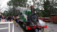 Puffing Billy-trein met optionele Penguin Parade of tour door Melbourne Puffing Billy-trein met optionele Penguin Parade of tour door Melbourne