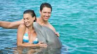 Dolphin Island Action Program from Punta Cana