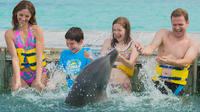 Dolphin Island Family Experience Program from Punta Cana