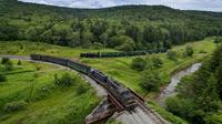 Cheat Mountain Salamander Train Excursion in West Virginia