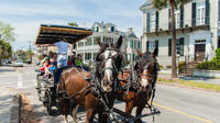 Carriage Tour of Historic Charleston