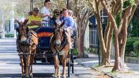 Evening Carriage Tour of Downtown Charleston