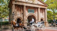 Private Carriage Tour of Historic Charleston