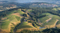 All Day Northern Oregon Wineries  and  Forest Bike Tour