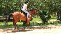 Horseback Riding Adventure in Ocho Rios