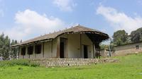Entoto Mountain Guided Day Tour from Addis Ababa