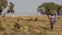Guided Day Trip: Nature and Wildlife including Debre Libanos Monastery from Addis Ababa