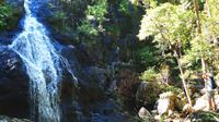 Bushwalkers' Adventure Noosa Hinterland Full-Day image 1 Bushwalkers' Adventure Noosa Hinterland Full-Day image 1