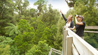 Guided Forest Tour of Sanctuary Mountain