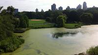 Central Park Walking Tour