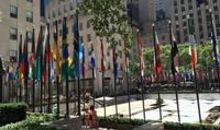 Fifth Avenue Walk and Grand Central Terminal