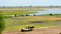 Chobe National Park Game Drive