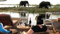 Chobe River Lunch Cruise