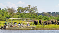 Chobe River Sunset Cruise