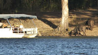 Sunset Cruise on Chobe River with Hotel Pickup from Kasane