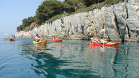 Split Sea Kayak Adventure