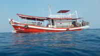 Full Day Dive Adventure in National Marine Park Koh Rang including 2 Dives and Lunch