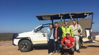 Full-Day Kruger Wildlife Safari from Hoedspruit