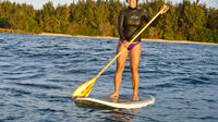 Family Private Stand Up Paddle Tours