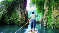 Blue Lagoon, Monkey Island and Rio Grande Rafting Tour