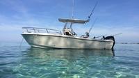 Private Fishing and Snorkeling Island Adventure