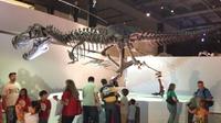 Houston Museum of Natural Science General Admission