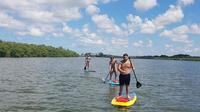 Snorkeling and Paddleboard Adventure in Stump Pass Beach State Park
