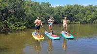 Stand Up Paddle Board Tour of Don Pedro Island