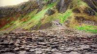 Authentic Guided Walk of the Giant's Causeway with an Expert Guide