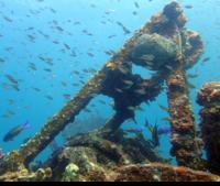 Grenada 2-Tank Scuba Dive for Certified Divers